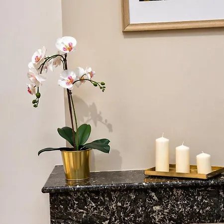 Appartement Romantique 2 Personnes Secteur Place Stanislas *